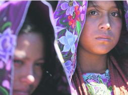 Fueron detenidos y les iniciaron un proceso de deportación a Guatemala; ahora temen salir de su tierra para buscar sustento. EFE / ARCHIVO