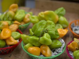 Aseguran que el chile es una rica fuente de compuestos como carotenoides y capsaicinoides. NTX / ARCHIVO