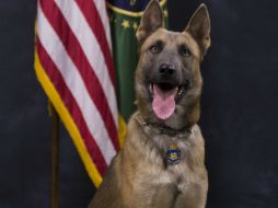 Tenía mucha experiencia en la localización de migrantes heridos y abandonados, se le atribuyen 93 ubicaciones. ESPECIAL / Patrulla Fronteriza