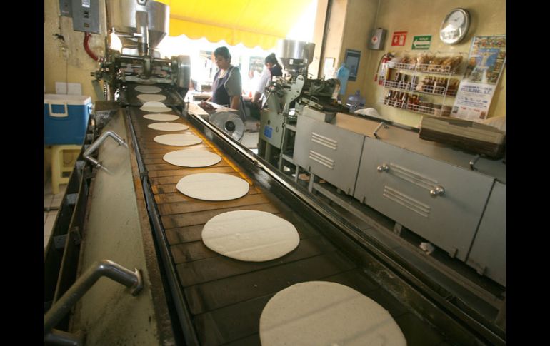 El precio de la tortilla sigue siendo más bajo que el principal insumo que es el maíz. EL INFORMADOR / Archivo