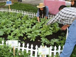 El índice del sur creció por la producción manufacturera y la industria alimentaria. NTX / ARCHIVO
