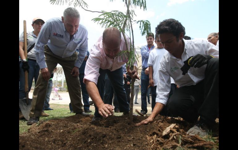 Los árboles que se tienen para plantar son: arrayán, granada, níspero, guayaba fresa, rosa morada, jacarandas, huajes, entre otros. EL INFORMADOR / R. Tamayo