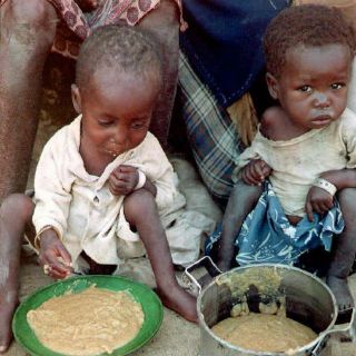 Estudio revela relación entre desnutrición y flora intestinal