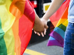 En mayo, el Gobierno anunció propuesta para reformar la Constitución con el fin de reconocer el matrimonio igulaitario. EFE / M. Lopez
