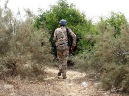 A finales de mayo pasado, el Ejército iraquí comenzó una ofensiva para arrebatar a los yihadistas Faluya. AFP / STRINGER