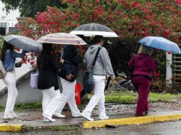 Las lluvias seguirán afectando Jalisco, por lo que recomiendan transitar con cuidado. EL INFORMADOR / ARCHIVO