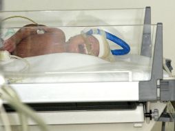 Las actas de defución de los 23 casos asentaron como causa de la muerte 'choque séptico'. EL INFORMADOR / ARCHIVO