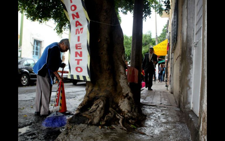 Zapopan y Guadalajara tienen identificados cerca de cuatro mil 500 árboles en riesgo. EL INFORMADOR / A. Hinojosa