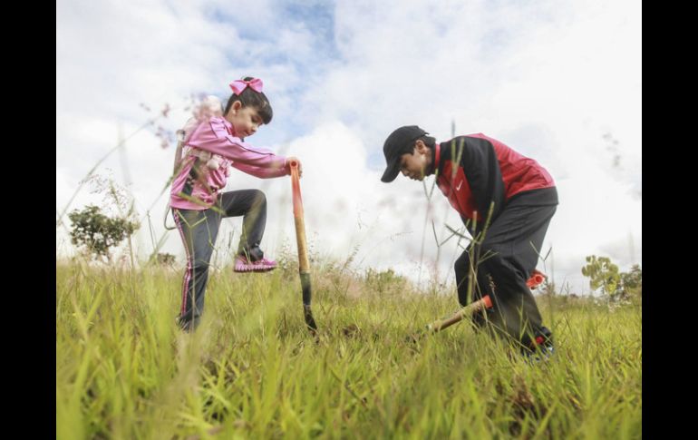 Piden a los ciudadanos a crear conciencia de la importancia que tiene sembrar y cuidar un árbol. EL INFORMADOR / ARCHIVO