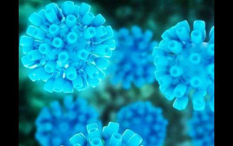 En los últimos tres años se han aprobado una serie de medicamentos para atacar el virus de la hepatitis C. EFE /