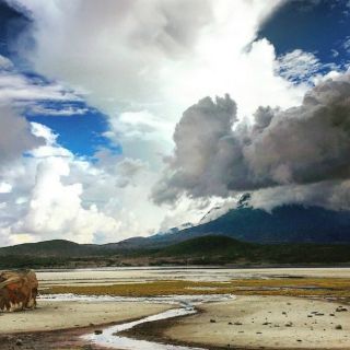 Hallan extraordinario yacimiento de helio en Tanzania