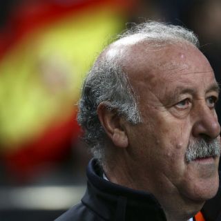 Del Bosque podría abandonar la Selección española