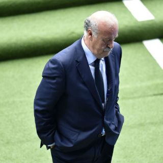 Vicente Del Bosque deja la Selección española