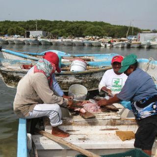 Lanzan en Yucatán innovador programa de apoyo pesquero