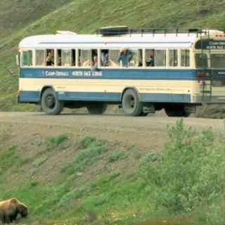 Oso pardo ataca a excursionista en parque en Alaska
