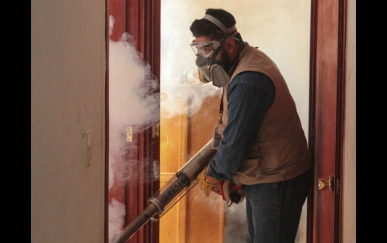 La SSJ espera el visto bueno federal para ampliar en 300 plazas el equipo de brigadistas. EL INFORMADOR / F. Atilano