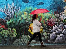 Las lluvias podrían estar acompañadas de fuertes vientos. EL INFORMADOR / ARCHIVO