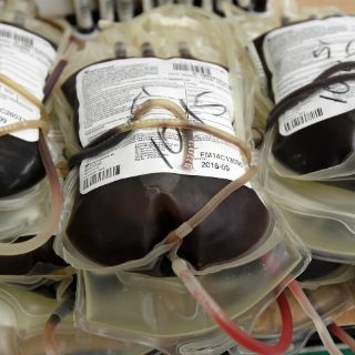 Sin tratamiento, mayoría de personas con hemofilia