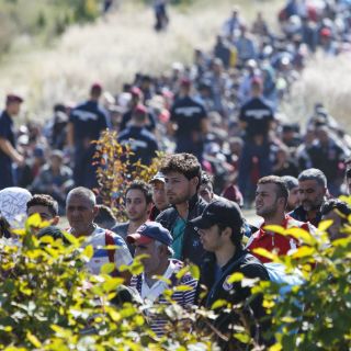 Desmantelan en Italia red de trata de migrantes