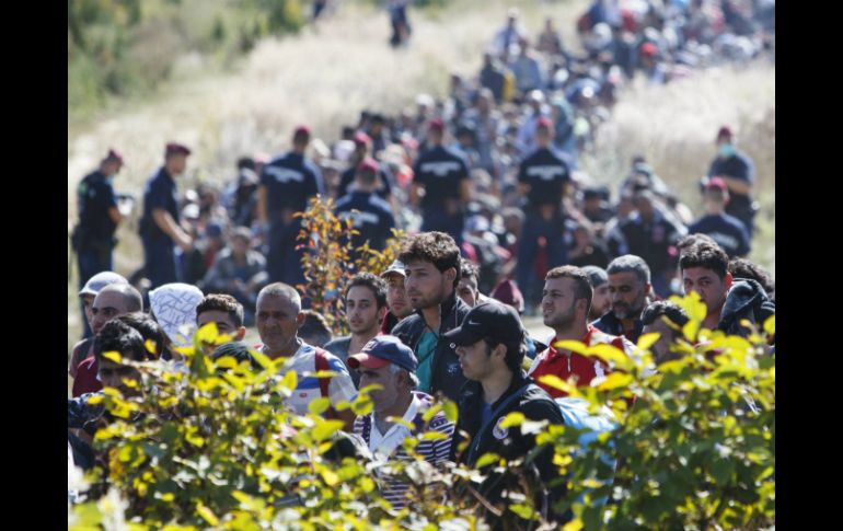 La célula habría ganado ''ingentes'' cantidades de dinero a través de la movilización ilegal de personas y tráfico de drogas. EFE / ARCHIVO