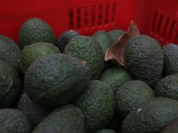 El huevo, el limón, el jitomate, la ceboola y el azúcar también registran leves alzas en su costo de esta semana. EL INFORMADOR / ARCHIVO