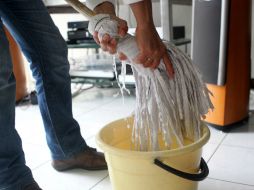 Para evitar agresiones por arañas o alacranes es necesario mantener limpio el interior de la casa. EL INFORMADOR / ARCHIVO