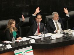 Los senadores enviaron la minuta a la Cámara de Diputados para que se analice y discuta. NTX / G. Granados