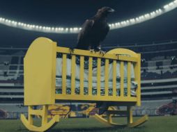 El club de Coapa lanzó el material conmemorativo del 100 aniversario de su fundación. TWITTER / @ClubAmerica