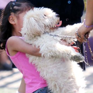 Descubre el lado benéfico de los microbios