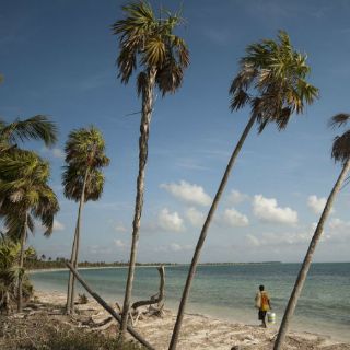 Sin recursos no se decretará manejo de Reserva del Caribe: Conanp