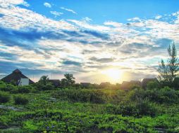 Entrarás en contacto directo con la naturaleza y de paso descubrirás nuevas sensaciones en un entorno plagado de belleza. EL INFORMADOR / F. González