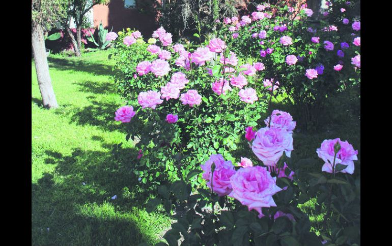 De ensueño. Una de las vistas que ofrece la bella hacienda. EL INFORMADOR / V. García Remus