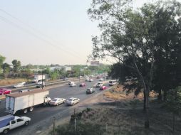 Necesidades. Extra A.C buscará que autoridaes estatales y municipales se sumen a su campaña de reforestación. EL INFORMADOR / R. Tamayo