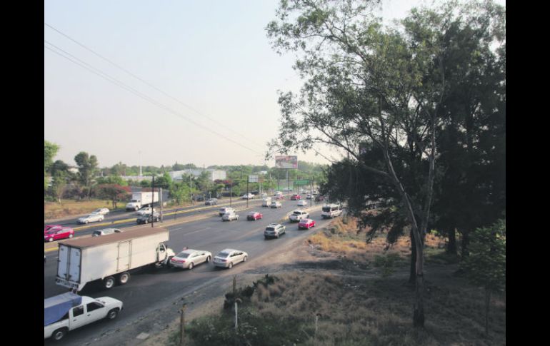Necesidades. Extra A.C buscará que autoridaes estatales y municipales se sumen a su campaña de reforestación. EL INFORMADOR / R. Tamayo