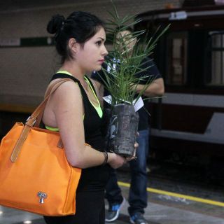 Extra A.C. acerca la adopción de árboles en tianguis