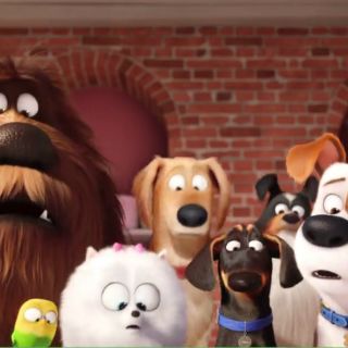 'La vida secreta de tus mascotas' arrasa en la taquilla de EU