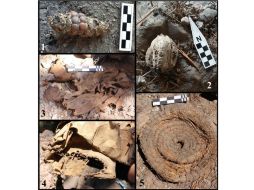 El ave posiblemente fue enterrada completa al lado de un ser humano y por las condiciones ambientales se momificó de manera natural. TWITTER / @INAHmx