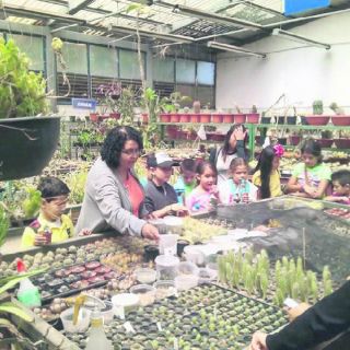 ¿Cómo crear una farmacia viviente?