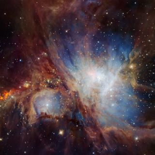Descubren 'enjambre' de objetos en la nebulosa de Orión