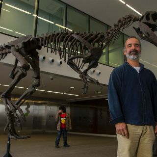 Descubren dinosaurio con brazos cortos del T-Rex