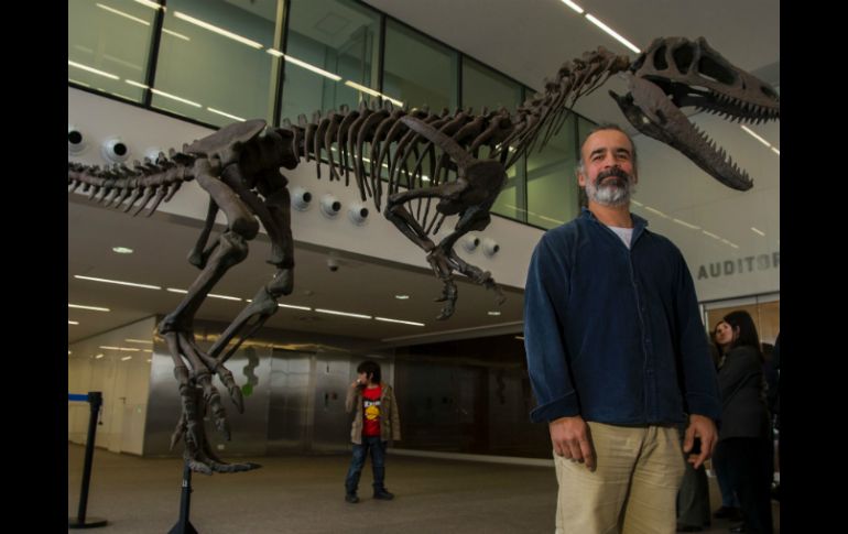 Los expertos calculan que era un predador de tamaño medio con un peso de más de 450 kilos. AFP / E. Abramovich