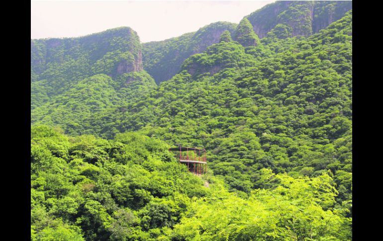 Las barrancas cuentan con diferentes ecosistemas en muy buen estado de conservación. ESPECIAL /