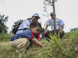 El Mandatario explica que la meta de su administración es reforestar un millón de hectáreas. EL INFORMADOR / ARCHIVO