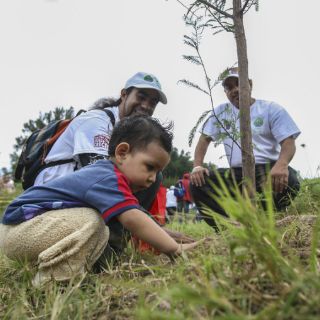Peña Nieto destaca avances en reforestación