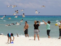 En caso de detectar un robo de identidad se debe acudir inmediatamente al banco para aclarar el crédito anómalo. NTX / ARCHIVO