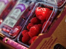 La industria material, así como las fresas, arándanos, frambuesas y moras, son los principales productos exportados. EL INFORMADOR / ARCHIVO