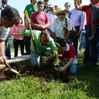 Reforestan más de cuatro hectáreas en el Cerro de la Reina