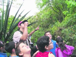 Esperanza. Los niños haciendo conciencia de lo valioso que es un bosque. EL INFORMADOR / P. Fernández Somellera