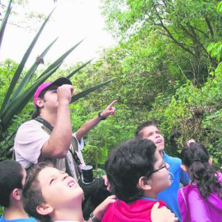 El Bosque Eterno de los niños