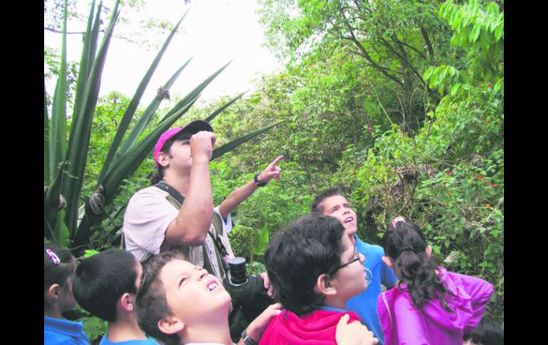 Esperanza. Los niños haciendo conciencia de lo valioso que es un bosque. EL INFORMADOR / P. Fernández Somellera